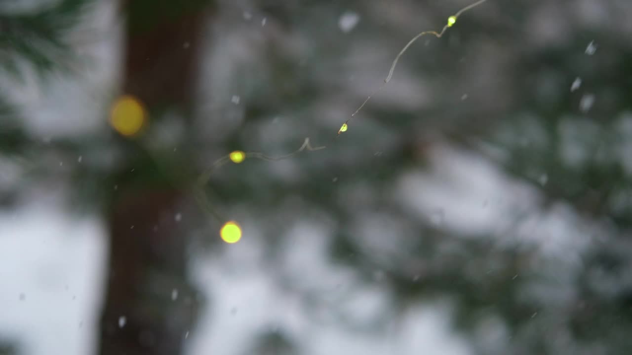 圣诞彩灯挂在常青树松树。冬天常绿的冷杉树枝和许多飘落的雪尘。降雪超级慢动作。白雪皑皑的云杉。自然背景视频片段视频素材