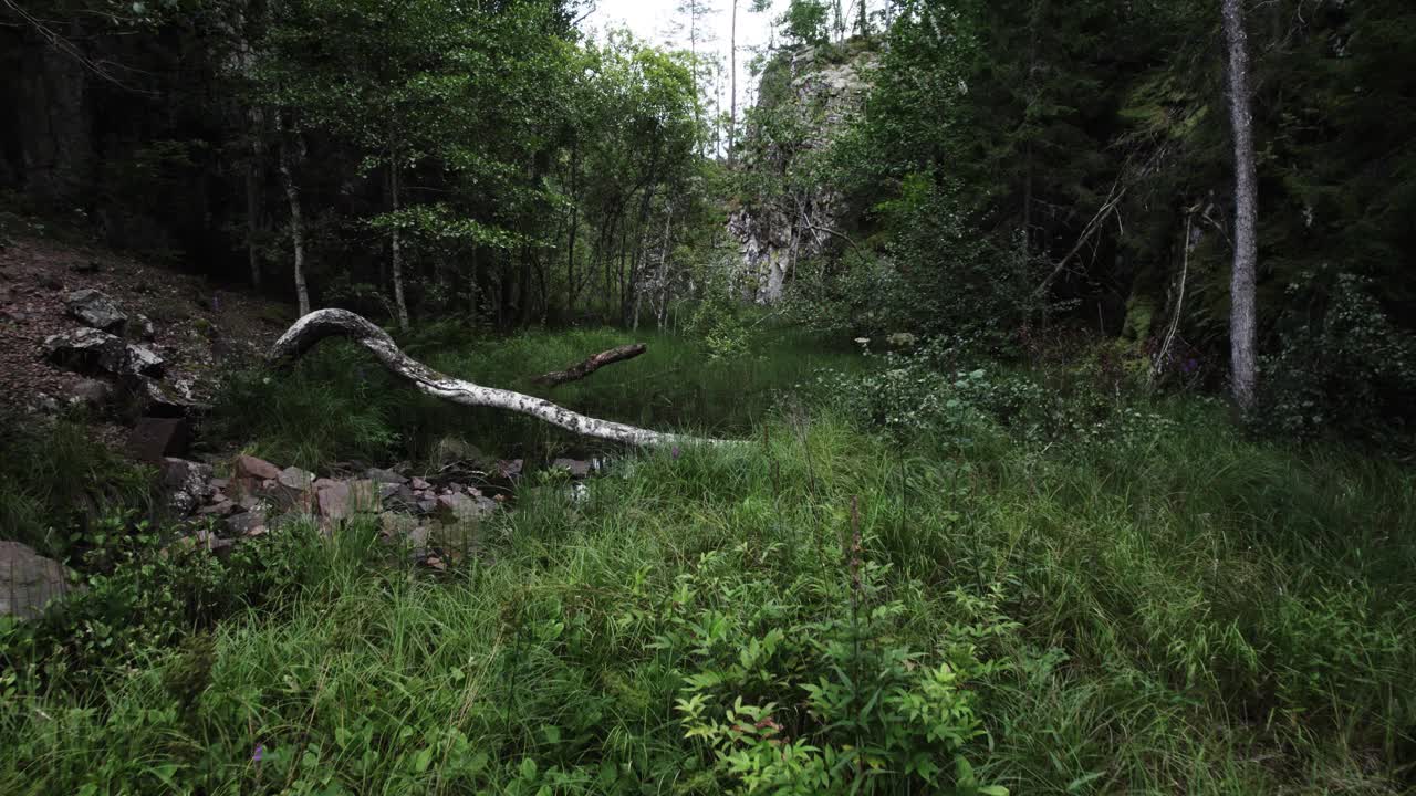 夏季瑞典黑暗山谷的电影无人机剪辑视频素材