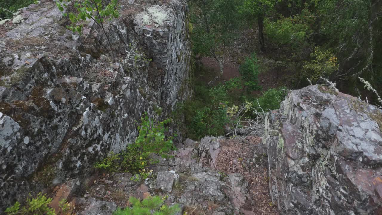 镜头倾斜在悬崖和森林山谷上视频下载