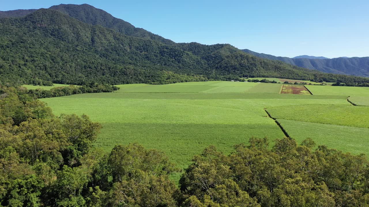 体验凯恩斯甘蔗田郁郁葱葱的风景和澳大利亚昆士兰州热带地区的非凡自然风光视频素材