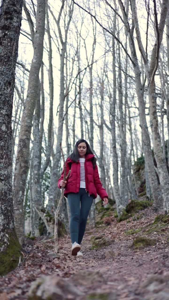 年轻的拉丁女子用树枝当拐杖在灌木丛中徒步旅行。视频下载