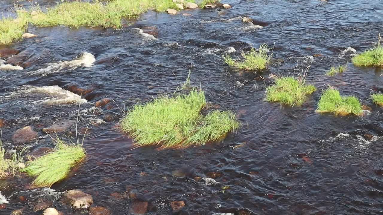 芬兰伊约基的浅水急流视频素材