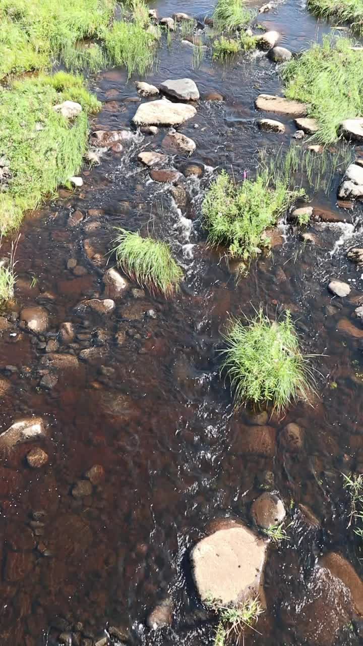 芬兰伊约基的浅水急流视频素材