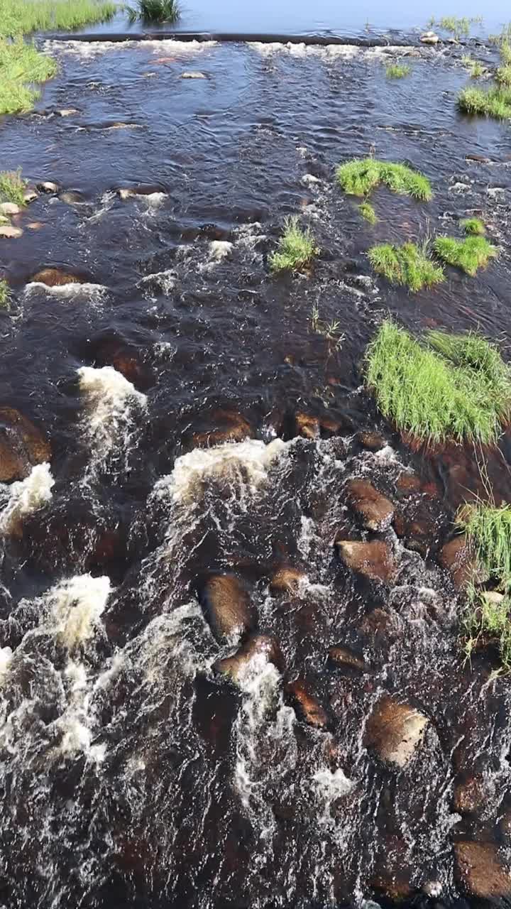 芬兰伊约基的浅水急流视频下载