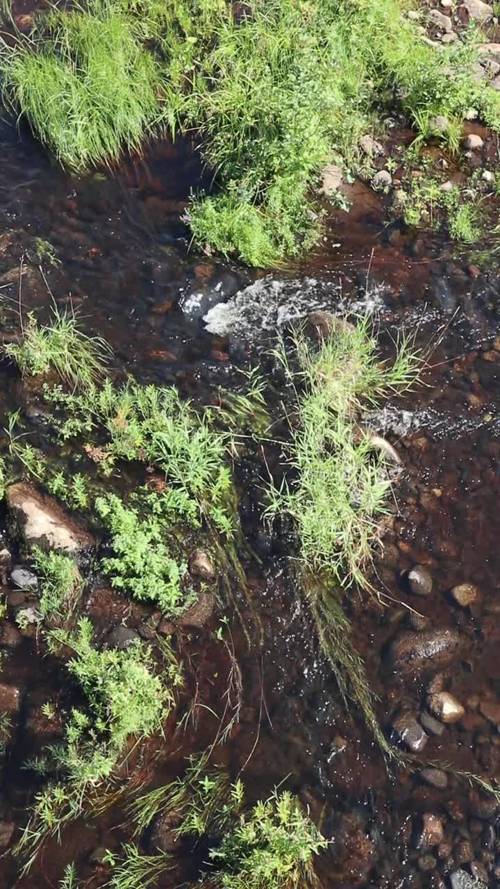 芬兰伊约基的浅水急流视频下载