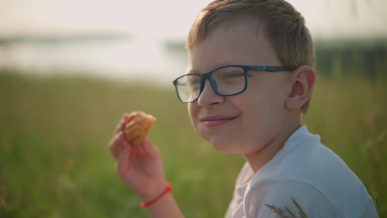 小男孩在草地上微笑着吃着热狗糕点视频素材