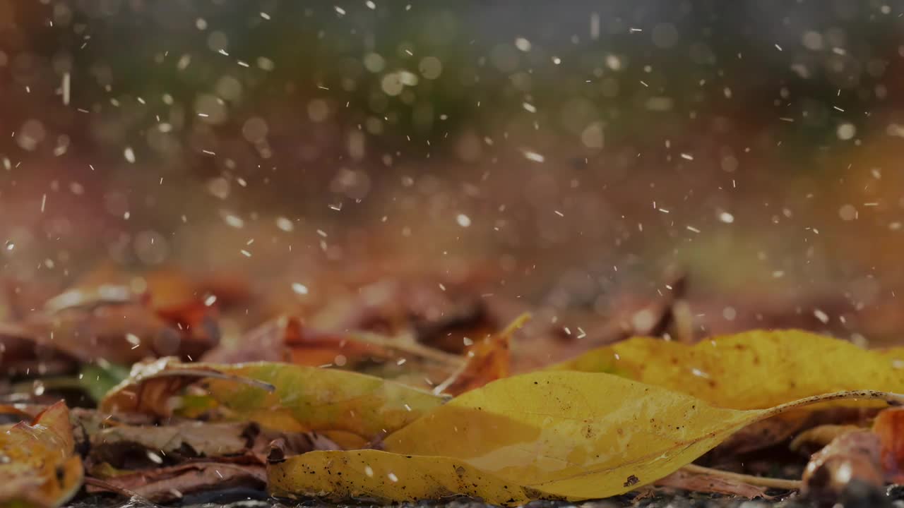 秋雨，雨滴落在干枯的落叶上，慢动作x4。树叶靠近了。孤独悲伤的概念。公园里天气晴朗。印度的夏天。美丽的大自然。视频下载