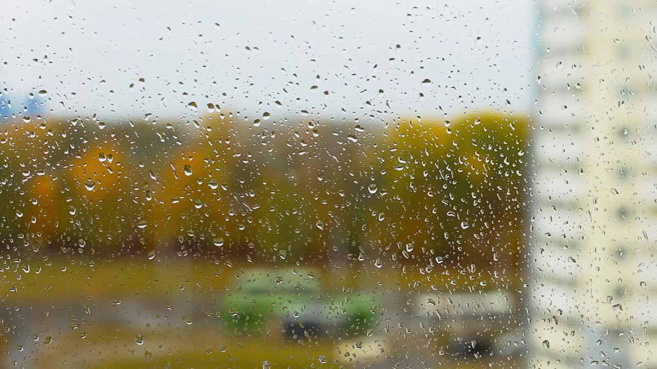 从一所房子的窗户看，雨滴在雨中落在窗户玻璃上，背景是城市里一片黄色的秋天森林。秋天结束了。阴天，文本的复制空间视频下载