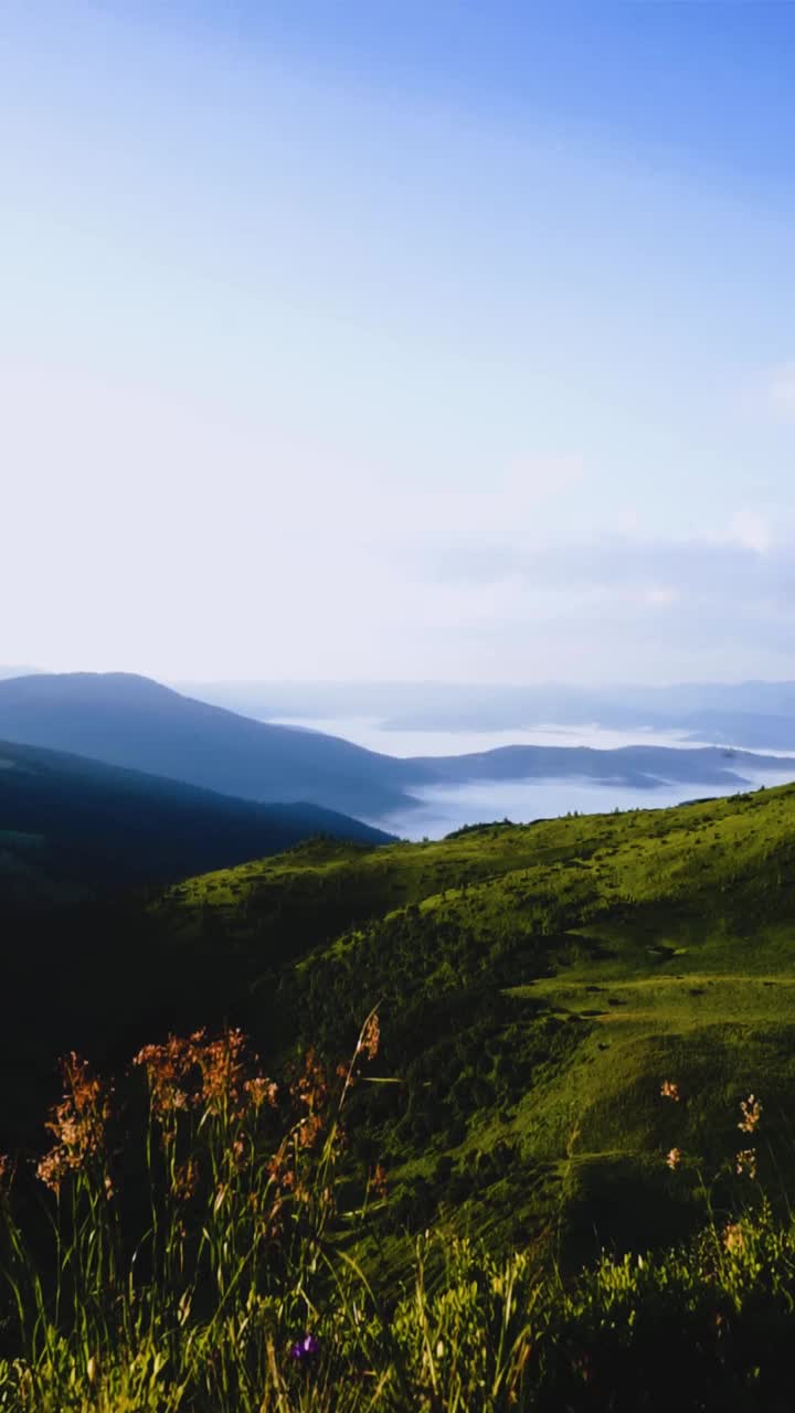 山水中山峰、森林的剪影视频素材