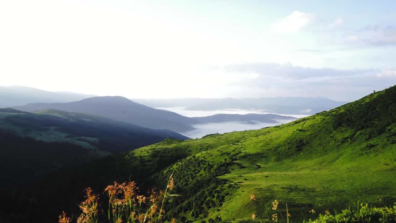 山水中山峰、森林的剪影视频素材