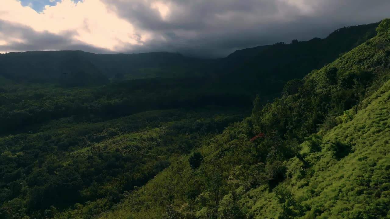 阳光照亮了郁郁葱葱的山谷和茂密的森林视频下载