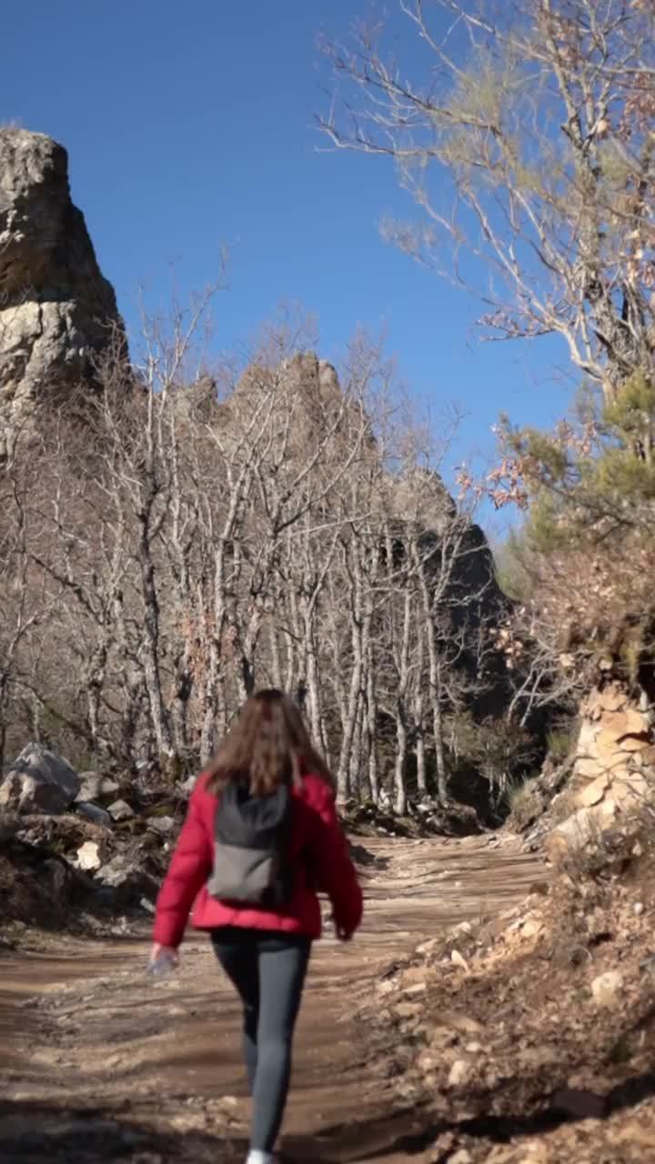 一个阳光明媚的日子里，穿着红色夹克的女人在森林里徒步旅行的后视图。视频素材