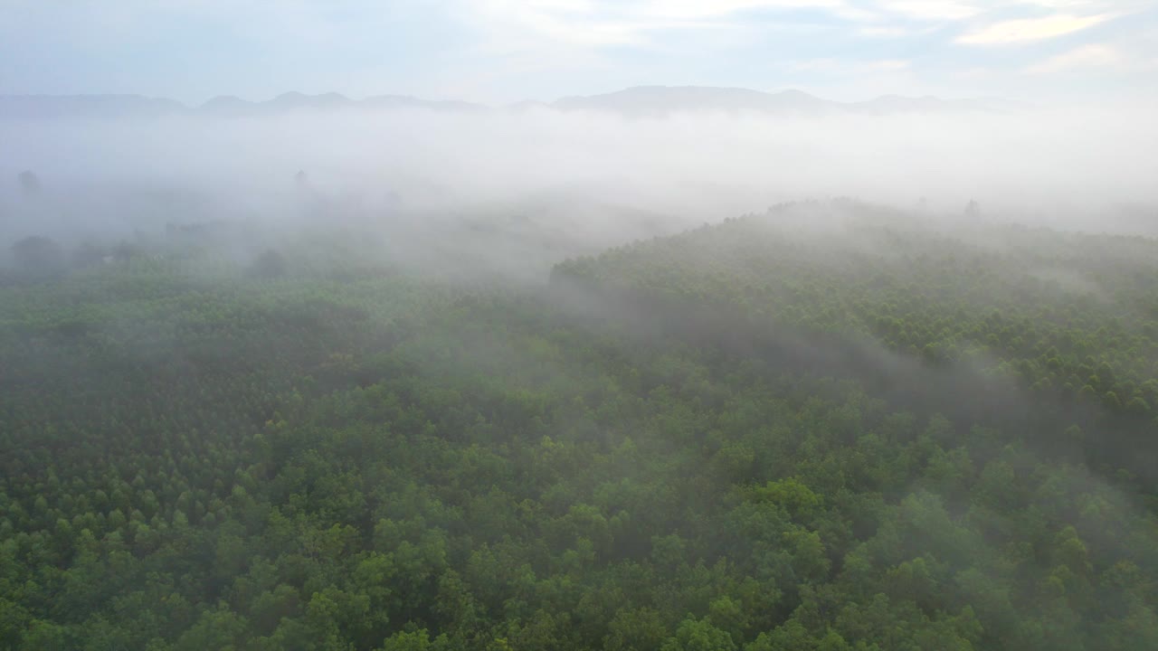 云，雾和郁郁葱葱的绿色森林在明亮的雨季与泰国的自然美景，亚洲。视频下载