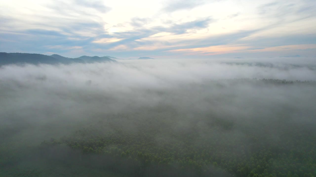 云，雾和郁郁葱葱的绿色森林在明亮的雨季与泰国的自然美景，亚洲。视频下载