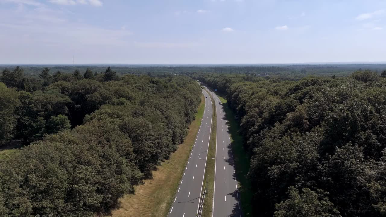 荷兰公路穿过森林鸟瞰图视频下载