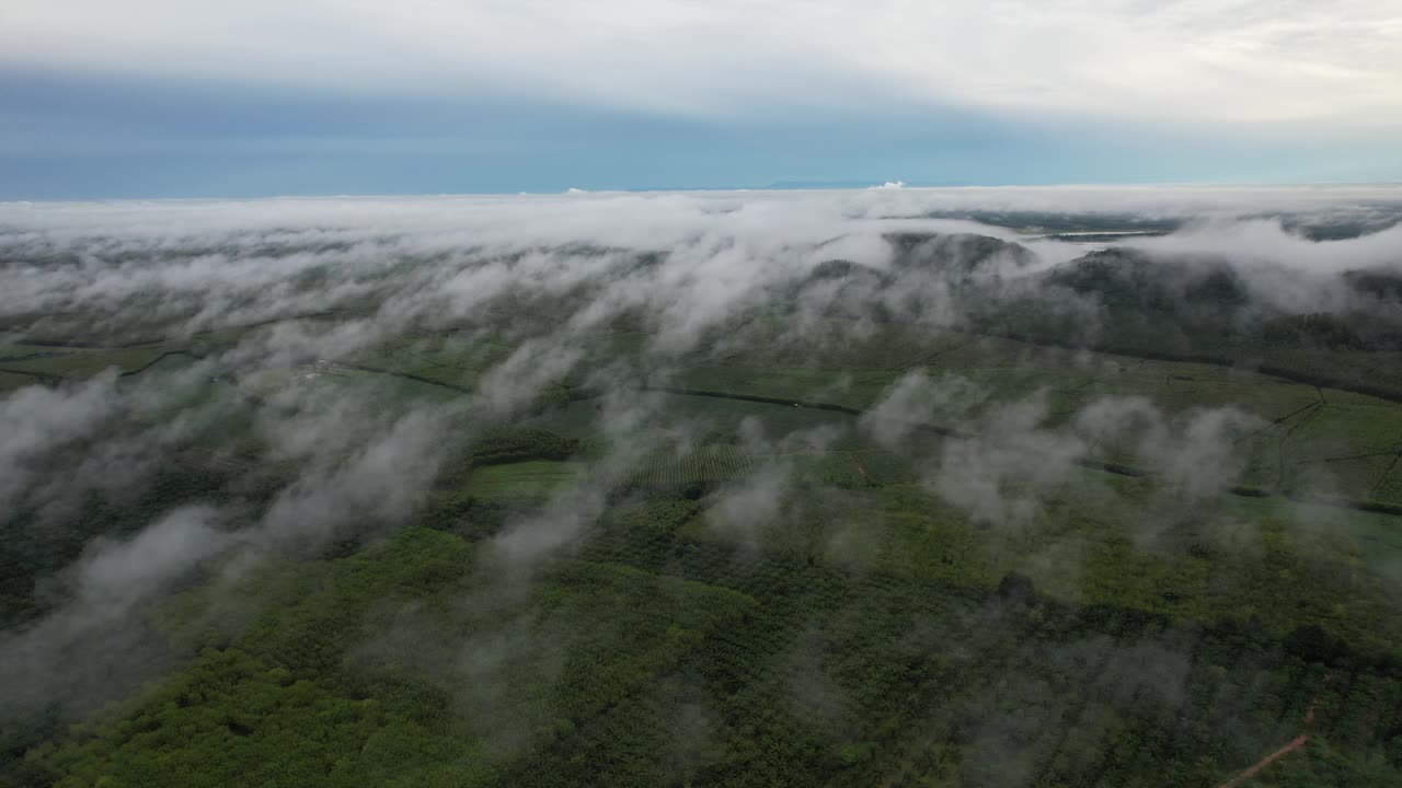 云，雾和郁郁葱葱的绿色森林在明亮的雨季与泰国的自然美景，亚洲。视频下载