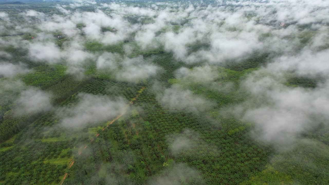 云，雾和郁郁葱葱的绿色森林在明亮的雨季与泰国的自然美景，亚洲。视频素材