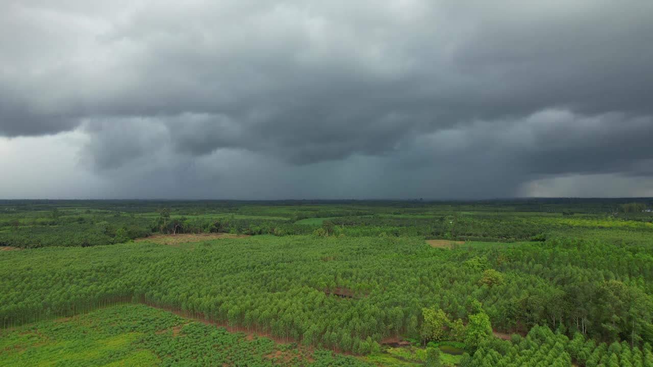 在亚洲泰国的雨季，暴雨降临在森林里，有着美丽的自然风光。视频下载