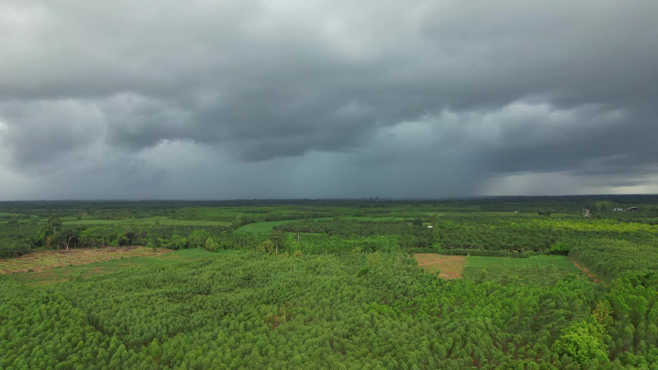 在亚洲泰国的雨季，暴雨降临在森林里，有着美丽的自然风光。视频素材