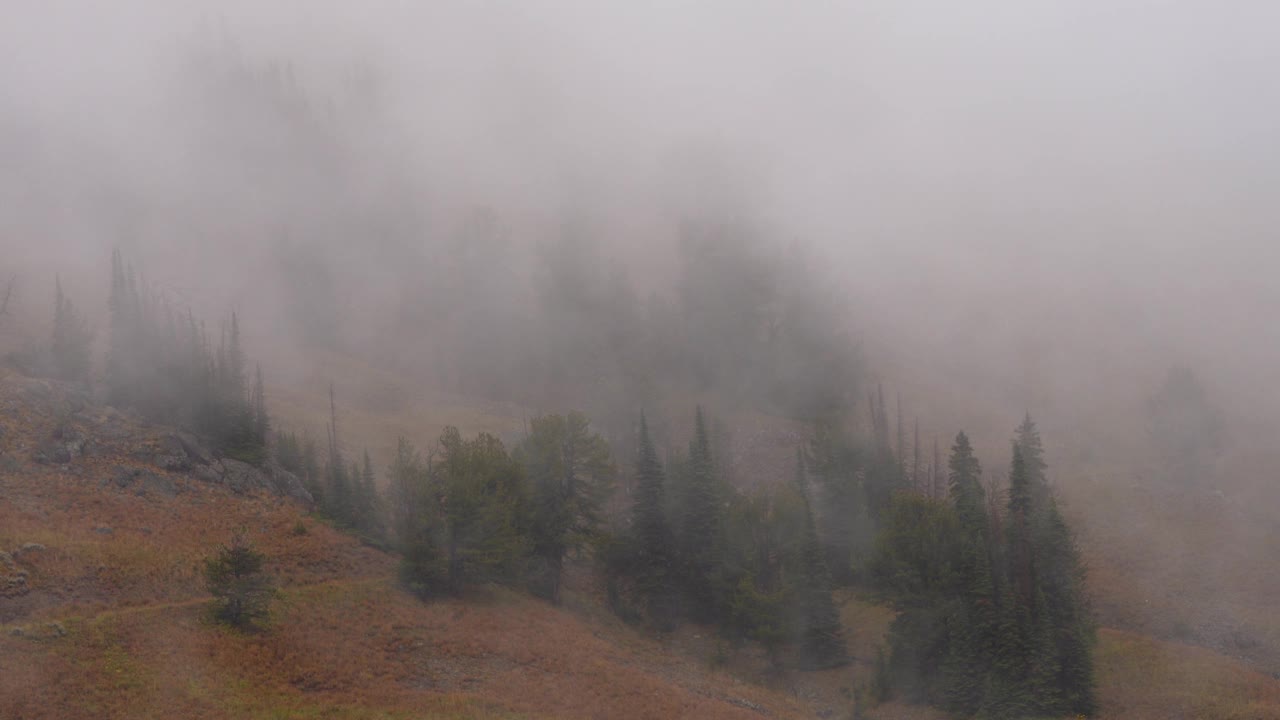 秋天山中起雾视频下载