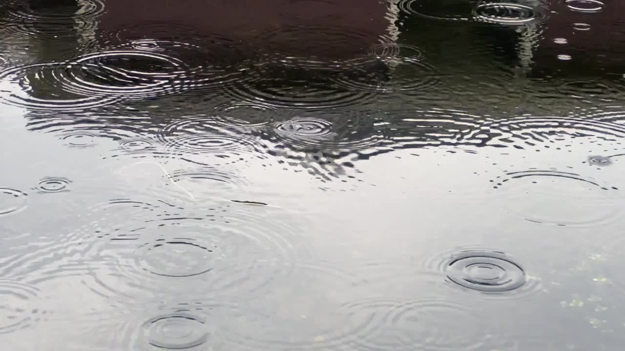 雨天平静水面上的雨滴视频下载