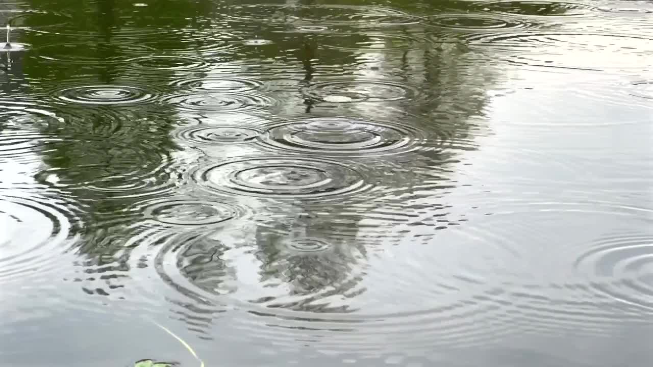 雨天平静水面上的雨滴视频素材