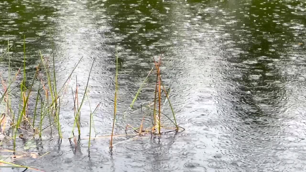 雨天平静水面上的雨滴视频下载