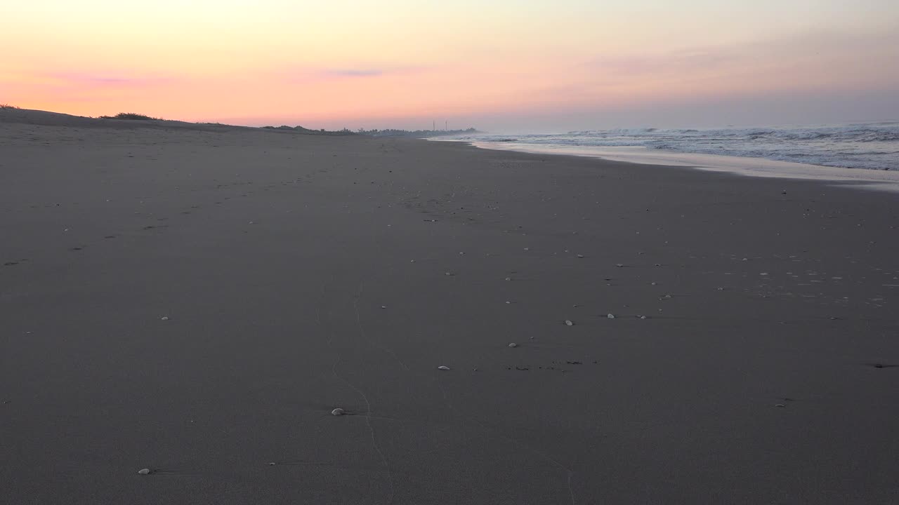 黎明时海边有贝壳的海滩视频素材