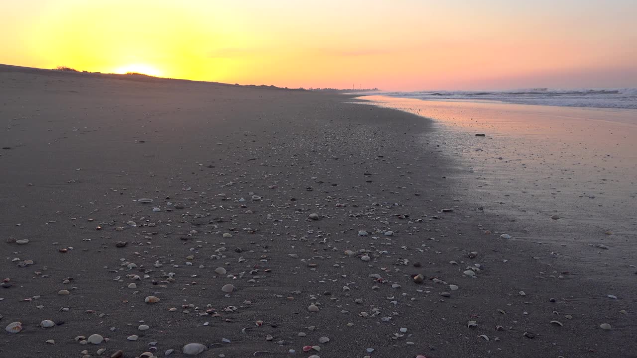 日出时海边有贝壳的海滩视频素材