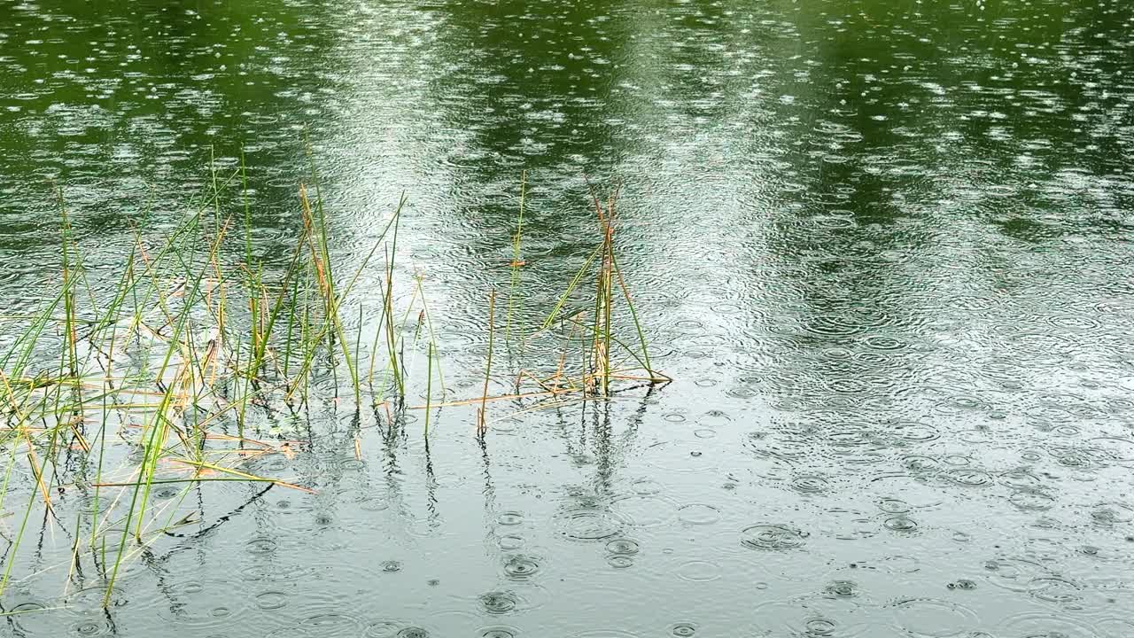 雨天平静水面上的雨滴视频素材