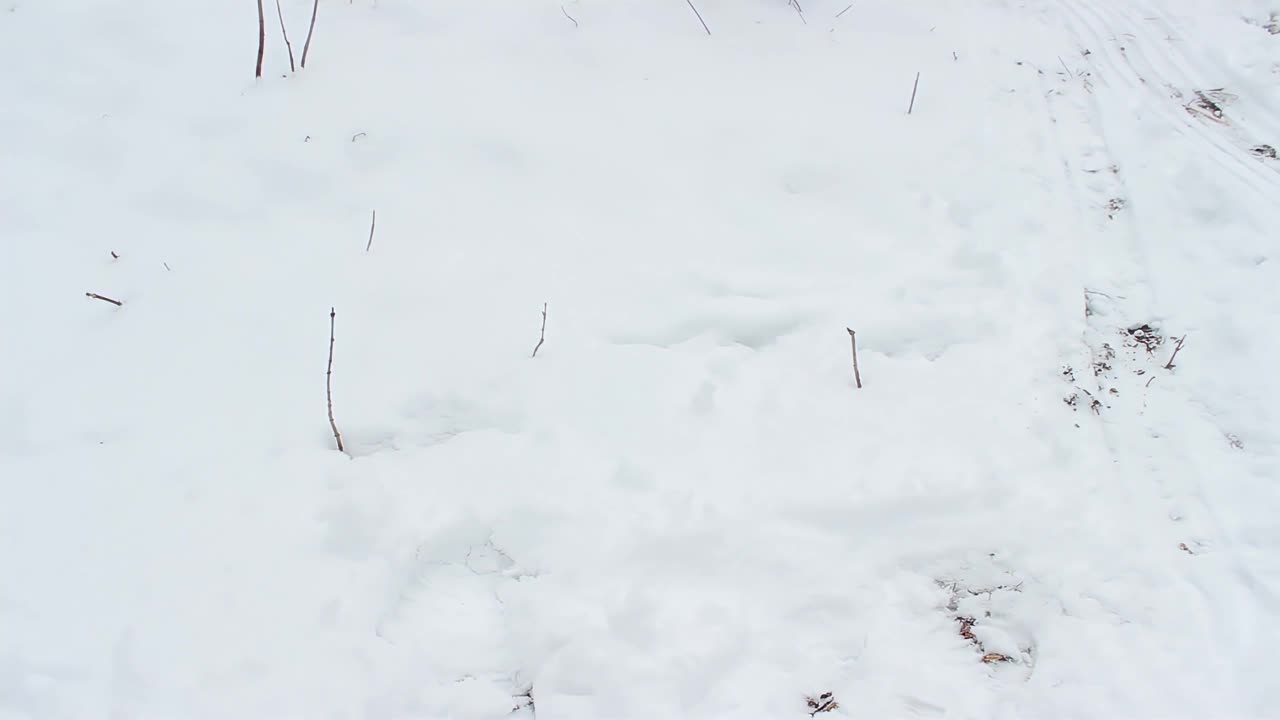 孩子们坐在雪橇上笑着滑下雪道视频下载