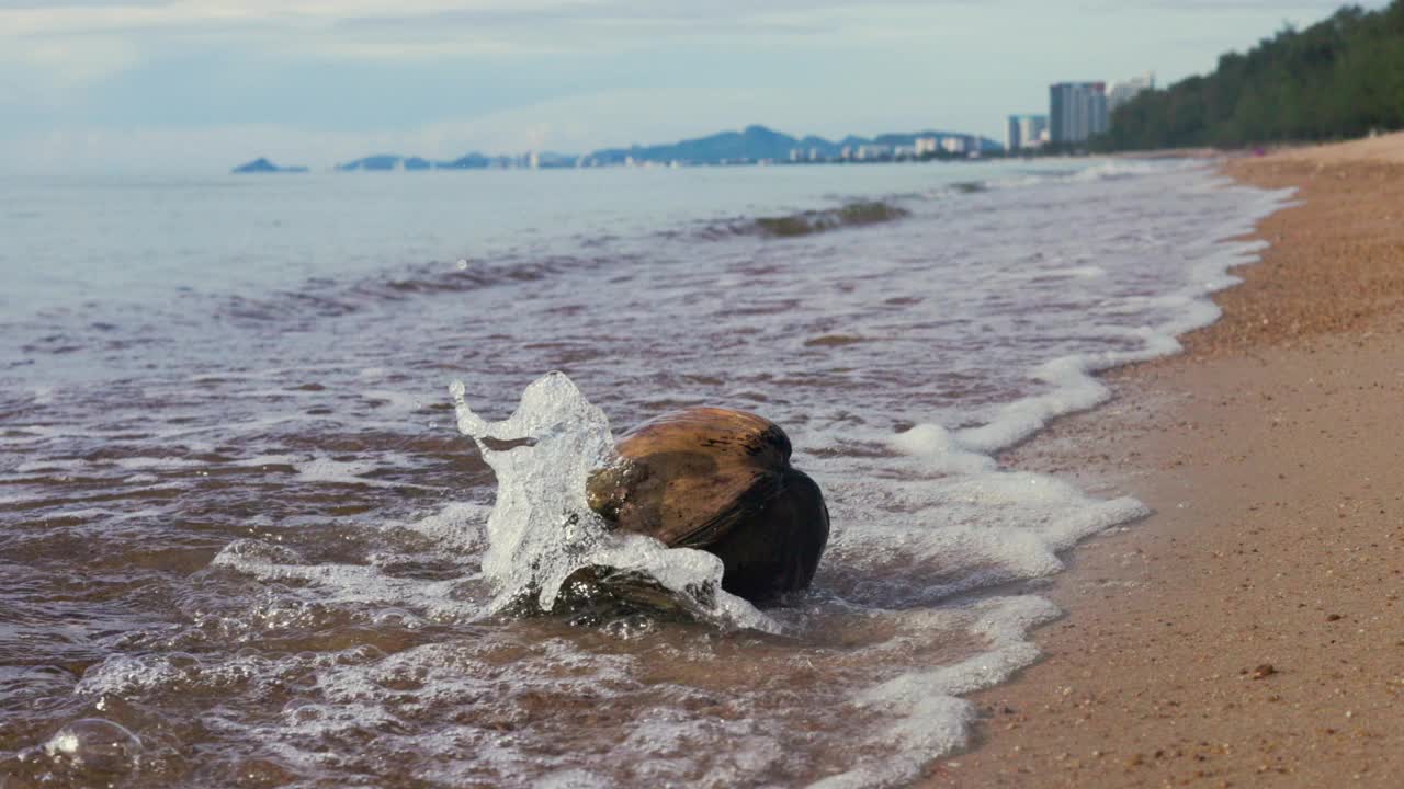 热带海岸的污染视频素材