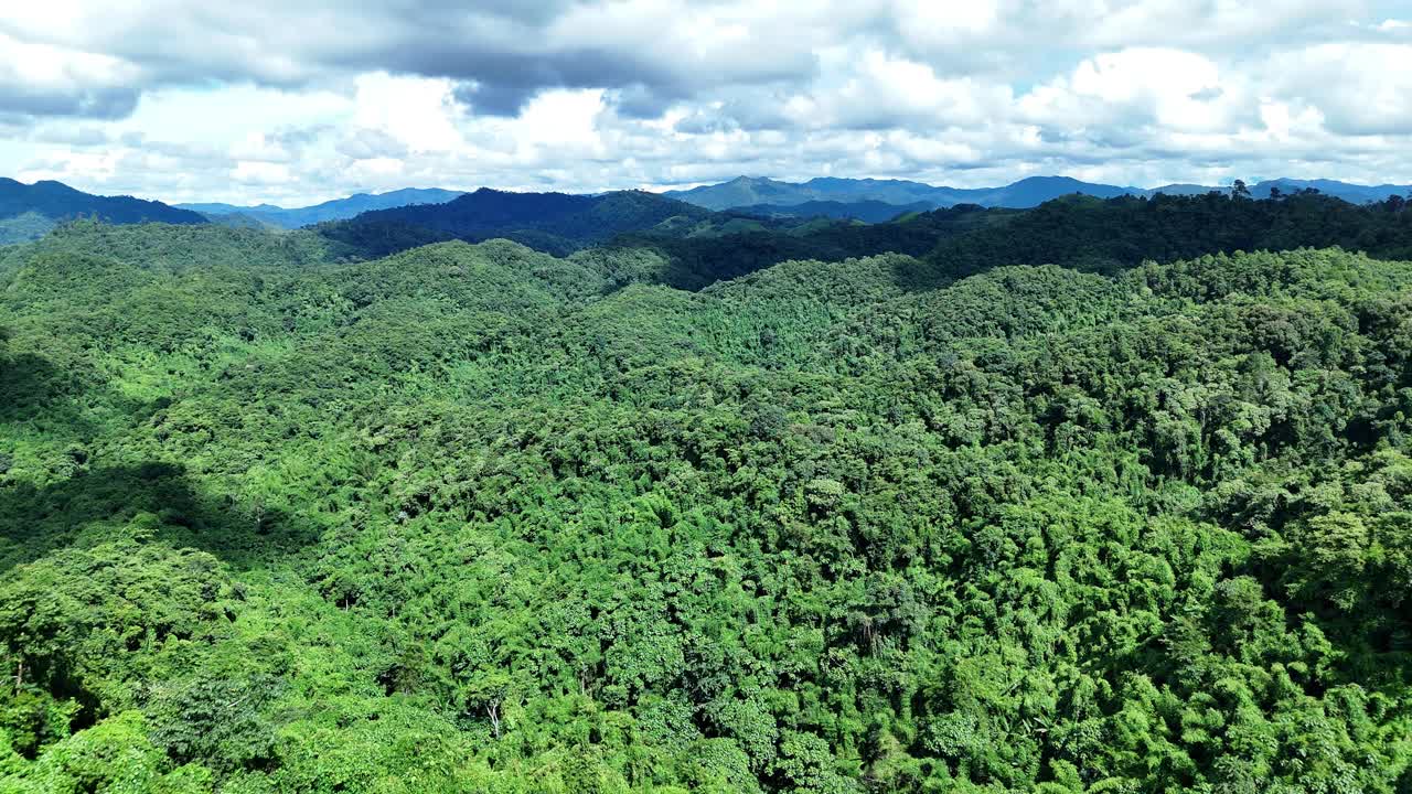 鸟瞰泰国北部雨季期间郁郁葱葱的绿色雨云覆盖的热带雨林山中的森林。视频下载