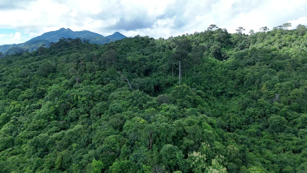 鸟瞰泰国北部雨季期间郁郁葱葱的绿色雨云覆盖的热带雨林山中的森林。视频素材