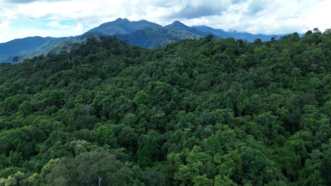 鸟瞰泰国北部雨季期间郁郁葱葱的绿色雨云覆盖的热带雨林山中的森林。视频下载