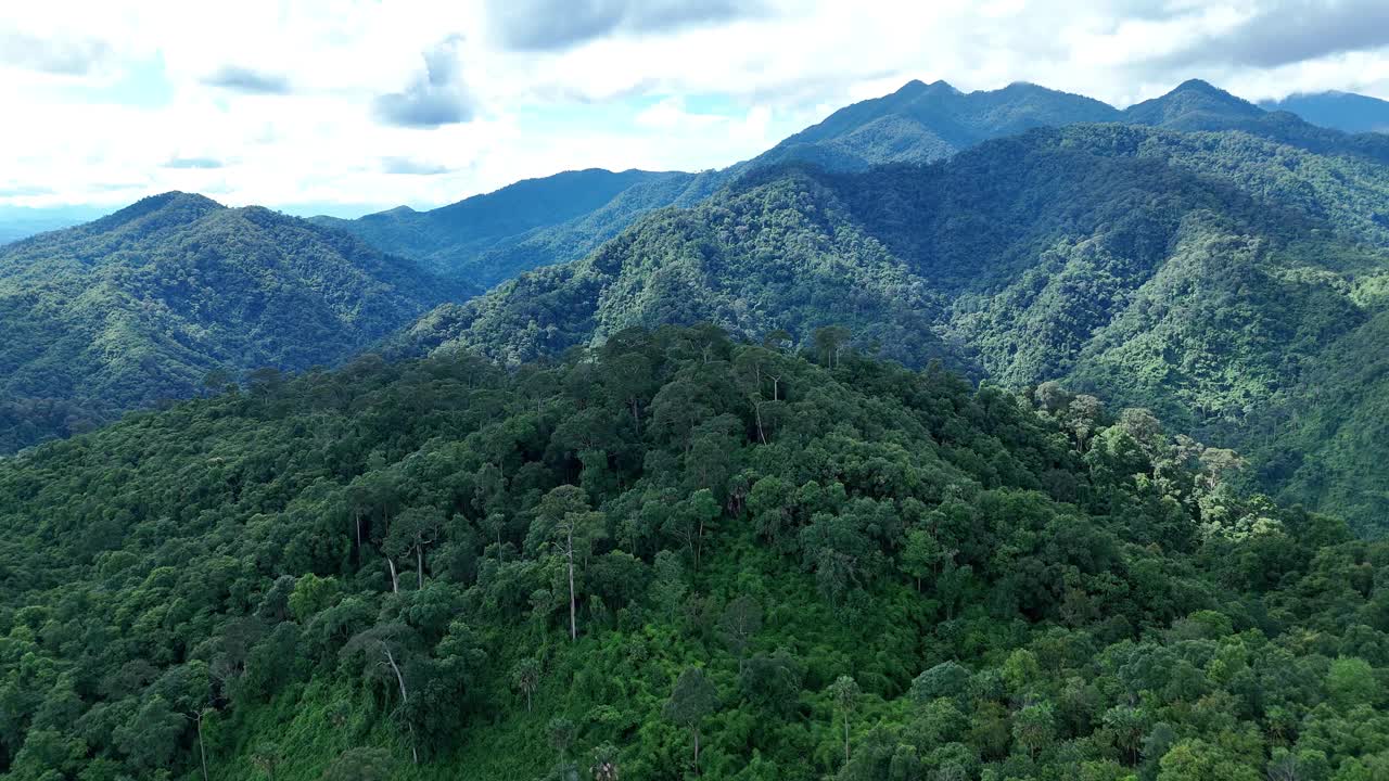 鸟瞰泰国北部雨季期间郁郁葱葱的绿色雨云覆盖的热带雨林山中的森林。视频下载