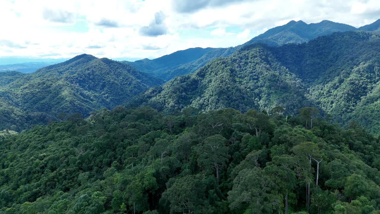 鸟瞰泰国北部雨季期间郁郁葱葱的绿色雨云覆盖的热带雨林山中的森林。视频下载