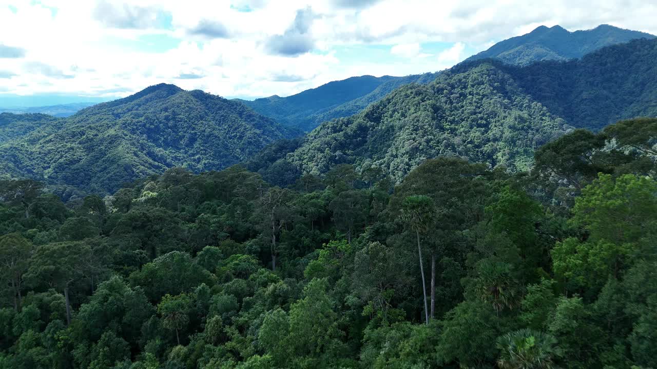 鸟瞰泰国北部雨季期间郁郁葱葱的绿色雨云覆盖的热带雨林山中的森林。视频素材