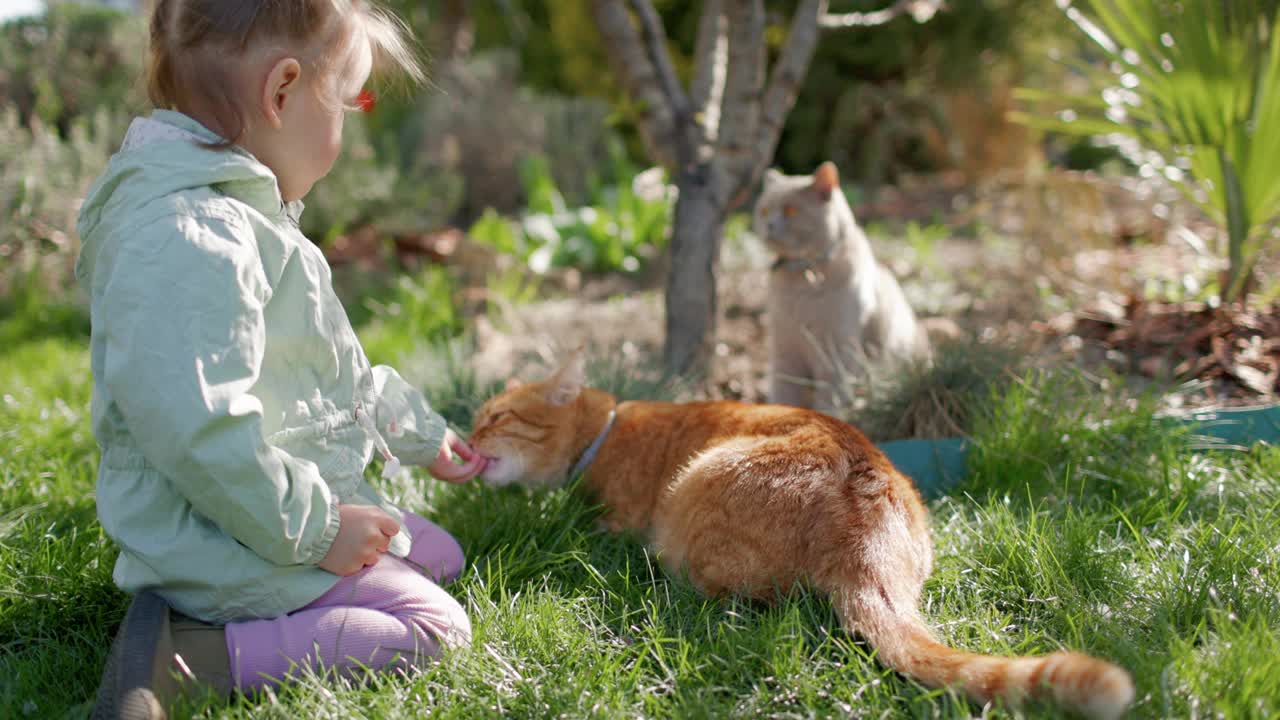 小女孩和她的猫在后院的花园里视频下载