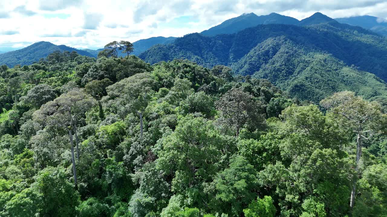 鸟瞰泰国北部雨季期间郁郁葱葱的绿色雨云覆盖的热带雨林山中的森林。视频下载