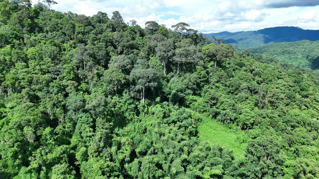 鸟瞰泰国北部雨季期间郁郁葱葱的绿色雨云覆盖的热带雨林山中的森林。视频下载