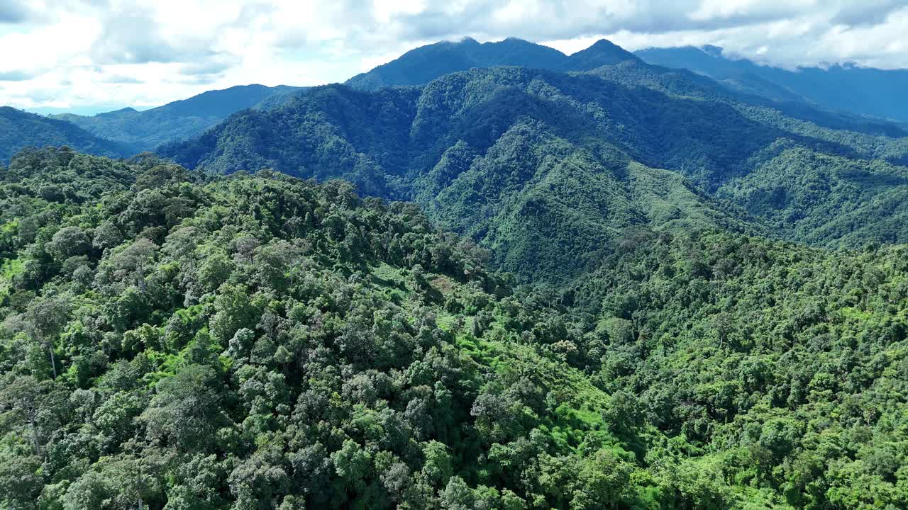 鸟瞰泰国北部雨季期间郁郁葱葱的绿色雨云覆盖的热带雨林山中的森林。视频素材