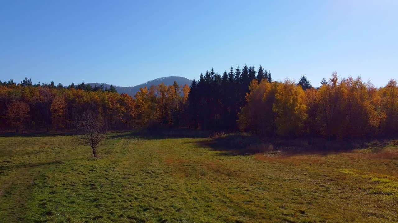 风景优美的秋景，在乡村有生机勃勃的树叶和清澈的蓝天视频下载