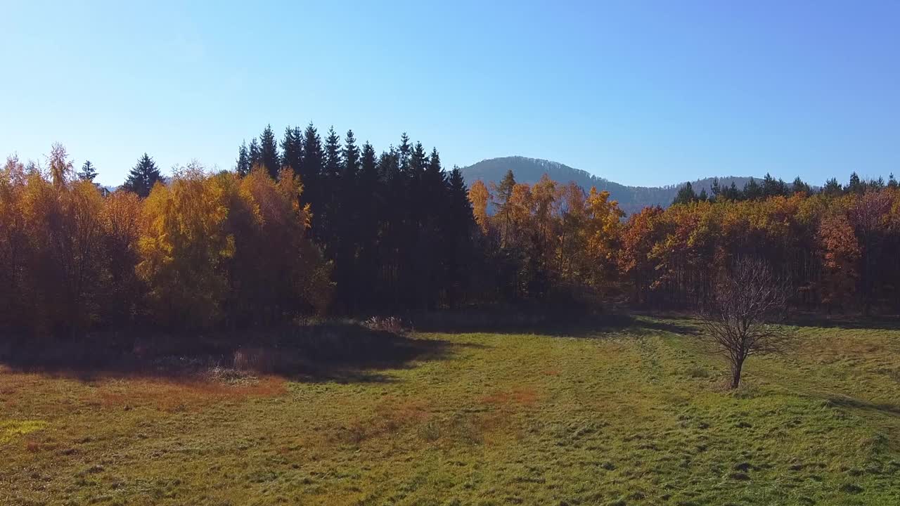 蓝天下的山林秋野视频下载