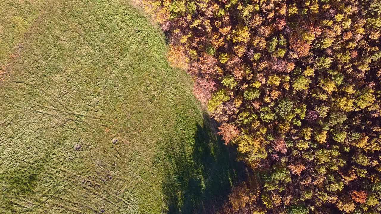 秋季森林向绿色草地过渡的鸟瞰图-自然，季节，景观视频下载