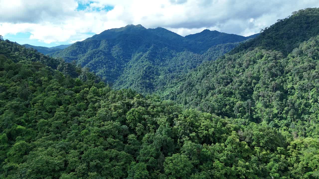 鸟瞰泰国北部雨季期间郁郁葱葱的绿色雨云覆盖的热带雨林山中的森林。视频素材