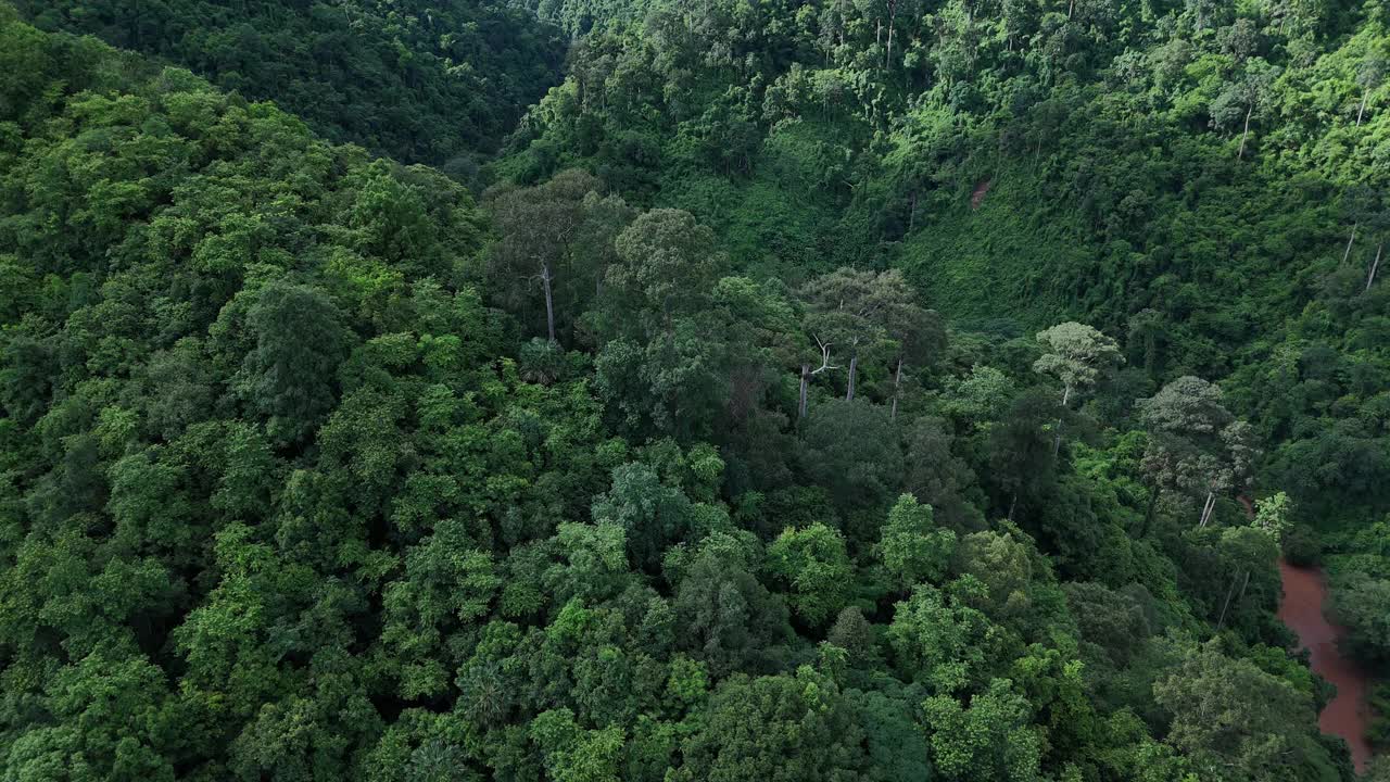 鸟瞰泰国北部雨季期间郁郁葱葱的绿色雨云覆盖的热带雨林山中的森林。视频素材