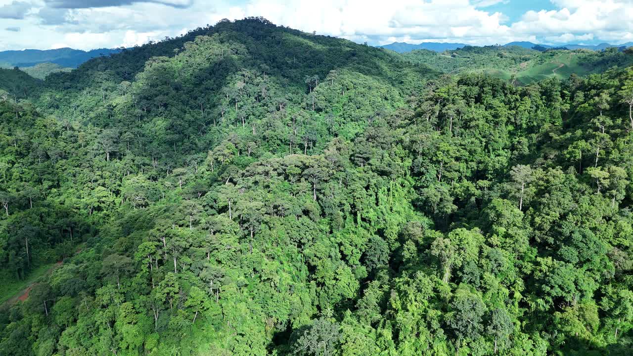 鸟瞰泰国北部雨季期间郁郁葱葱的绿色雨云覆盖的热带雨林山中的森林。视频下载