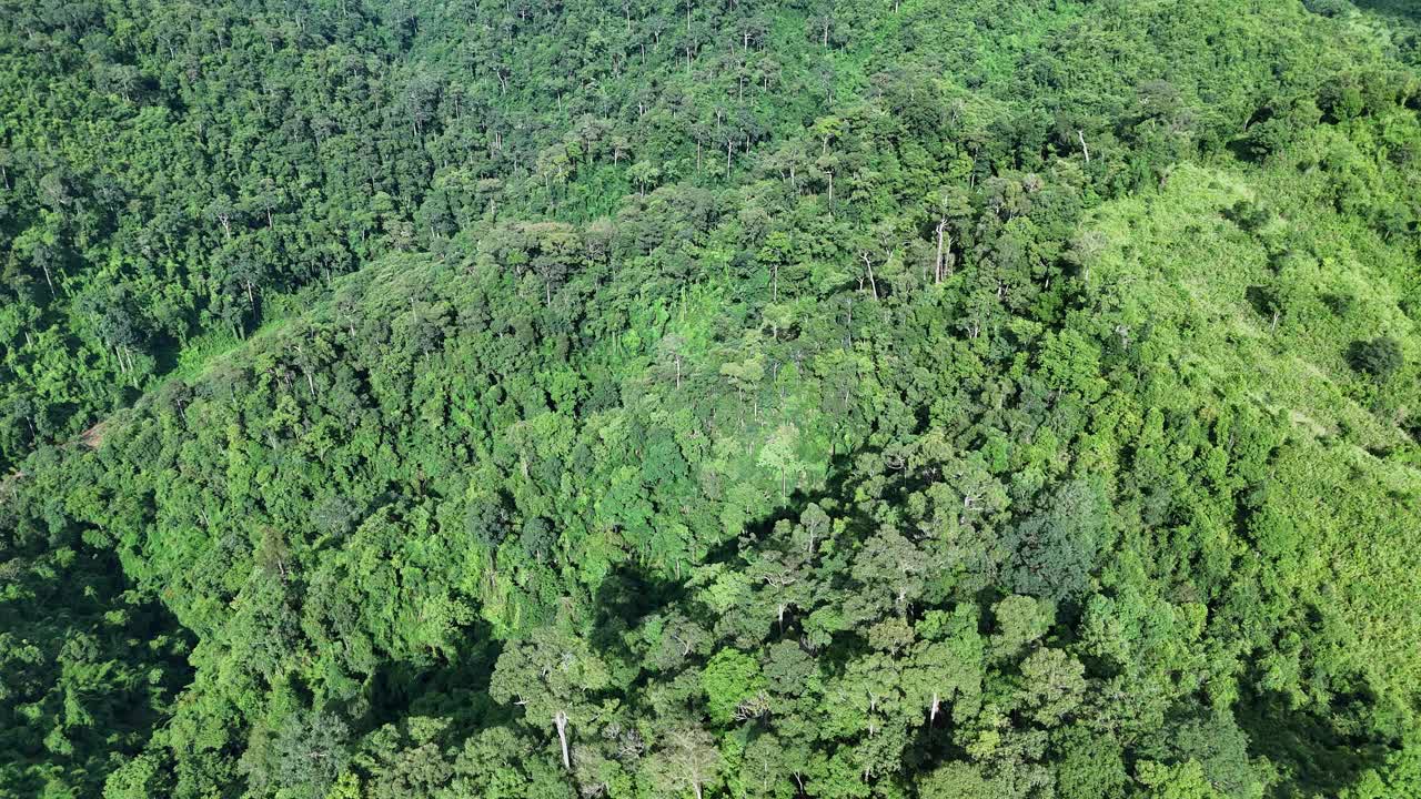 鸟瞰泰国北部雨季期间郁郁葱葱的绿色雨云覆盖的热带雨林山中的森林。视频素材