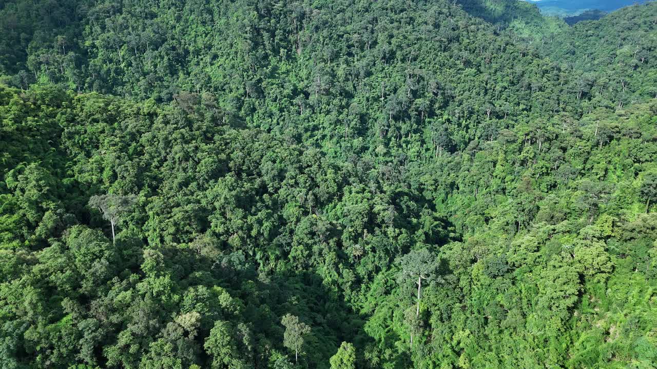 鸟瞰泰国北部雨季期间郁郁葱葱的绿色雨云覆盖的热带雨林山中的森林。视频素材